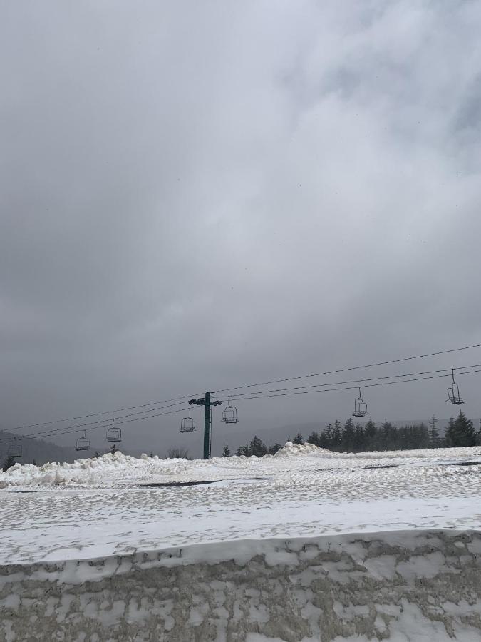 Highland House 207 Slopeside, Village Area, Ski In Out Snowshoe Exterior foto